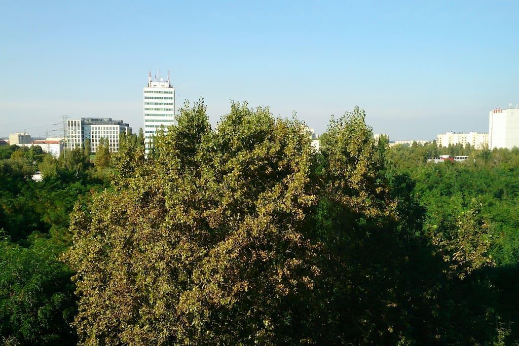 1 Bedroom Francuska Park Apartment 卡托维兹 外观 照片